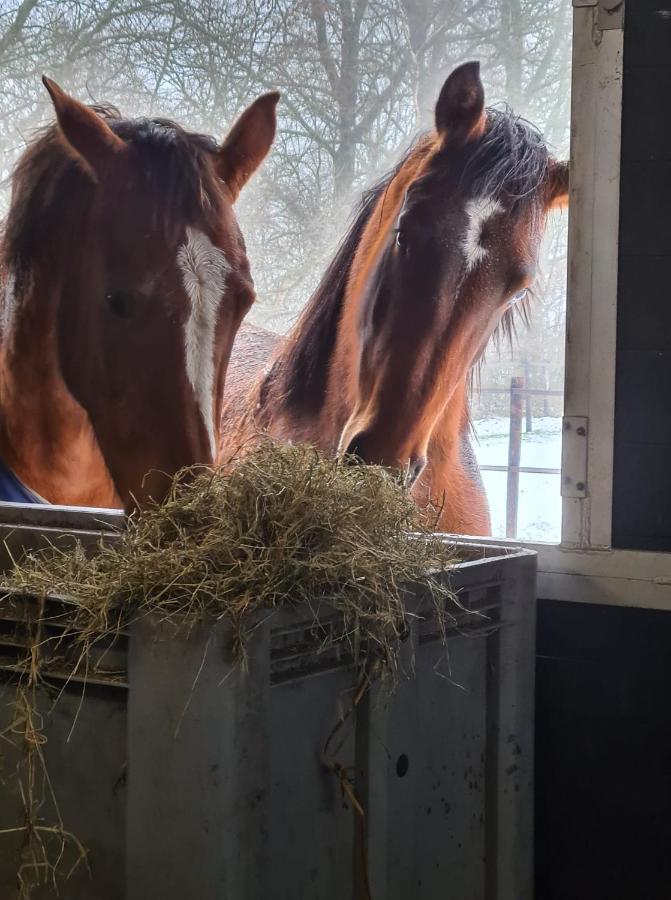 Drenths Landgoed, Lekker Uit Apartment Annerveenschekanaal Bagian luar foto